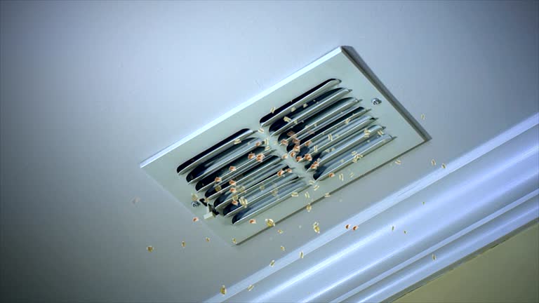 Best Dryer Vent Cleaning Services  in Elmhurst, IL