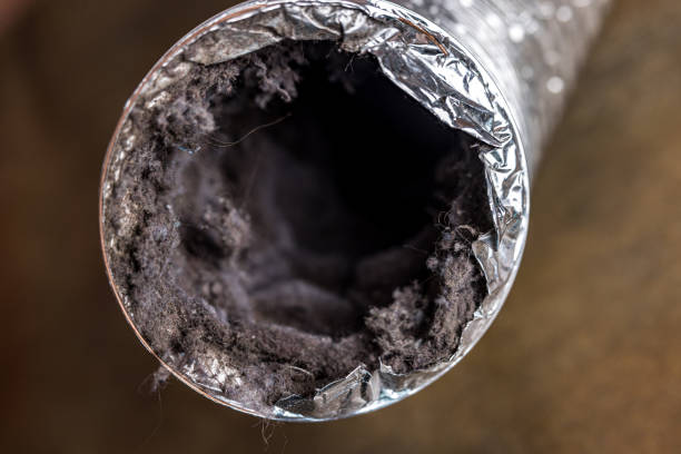 Best Commercial Air Duct Cleaning  in Elmhurst, IL