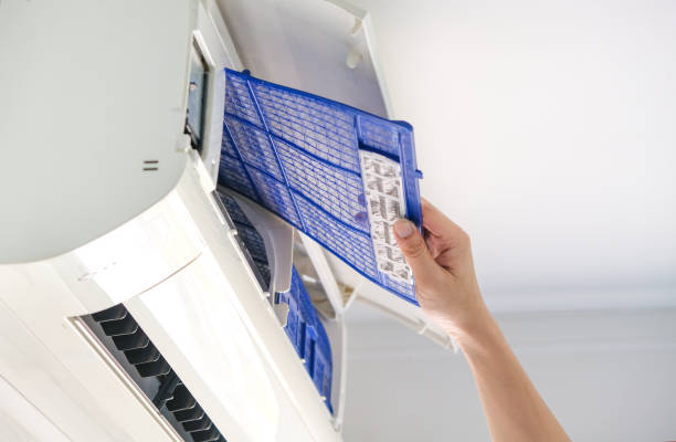 Best Air Duct Mold Removal  in Elmhurst, IL