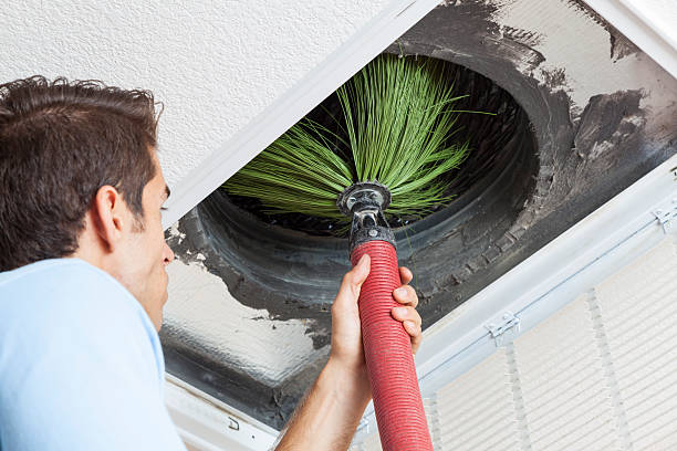 Best Dryer Vent Cleaning Services  in Elmhurst, IL