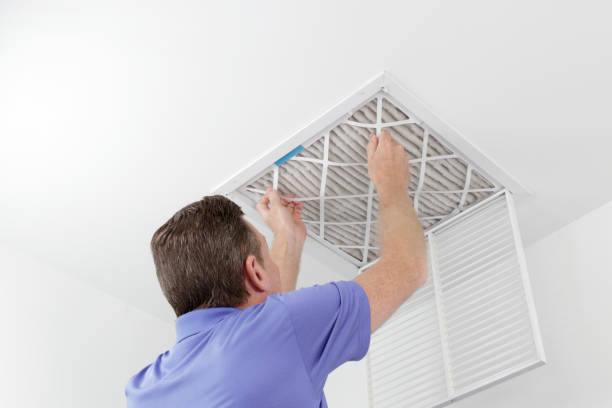 Best Affordable Duct Cleaning Services  in Elmhurst, IL